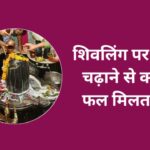 Shivling Par Kya Chadhaye | शिवलिंग पर क्या चढ़ाने से क्या फल मिलता है