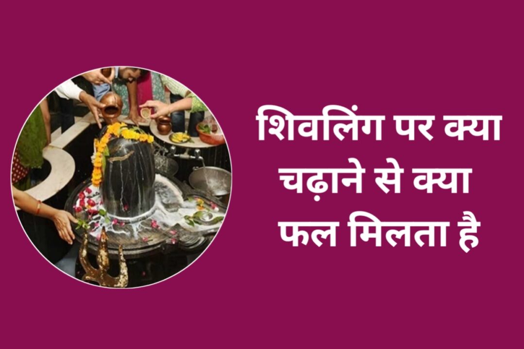 Shivling Par Kya Chadhaye | शिवलिंग पर क्या चढ़ाने से क्या फल मिलता है